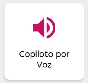 Copiloto por Voz do DSW